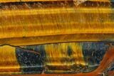 Polished Tiger's Eye Section - South Africa #128444-1